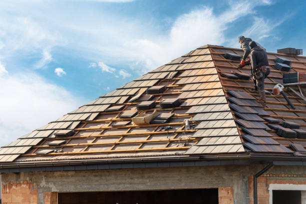 Best Skylight Installation and Repair  in Dayton, TN